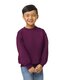 Standard Sweatshirts